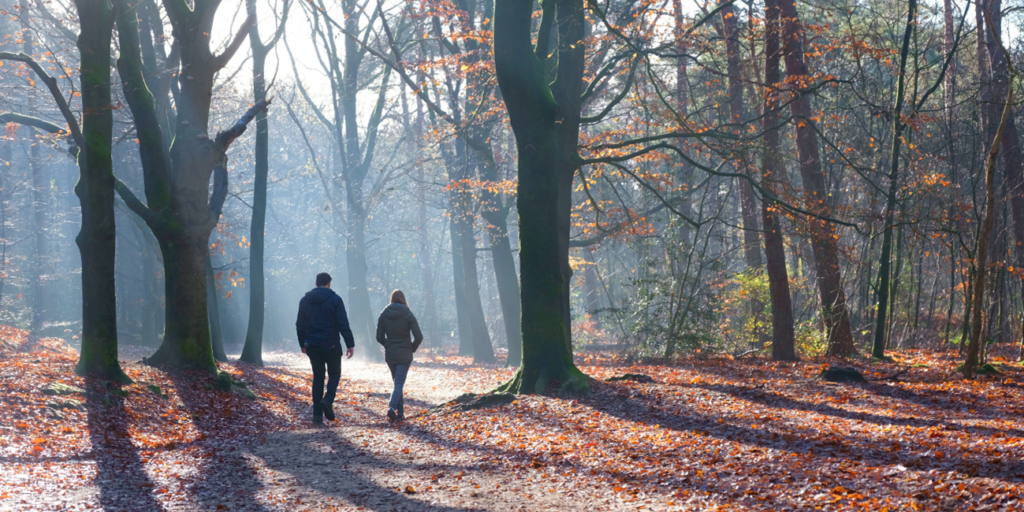 Foto de um casal caminhando entre as árvores